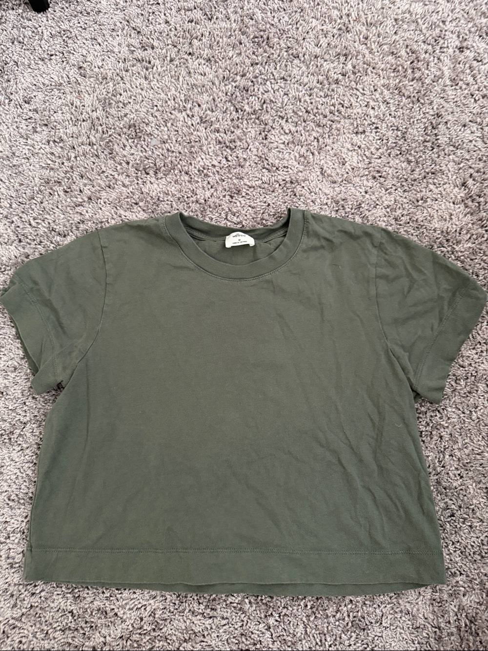 Aritzia Baby Tee